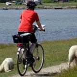 1307G 081 Insel Fehmarn